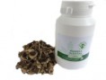 Moringa semena 100 g - Malunggay