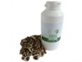 Moringa semena 500 g - Malunggay