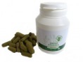 Anona Graviola 500 mg 50 ks - Guanabana